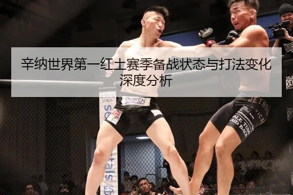 辛纳世界第一红土赛季备战状态与打法变化深度分析